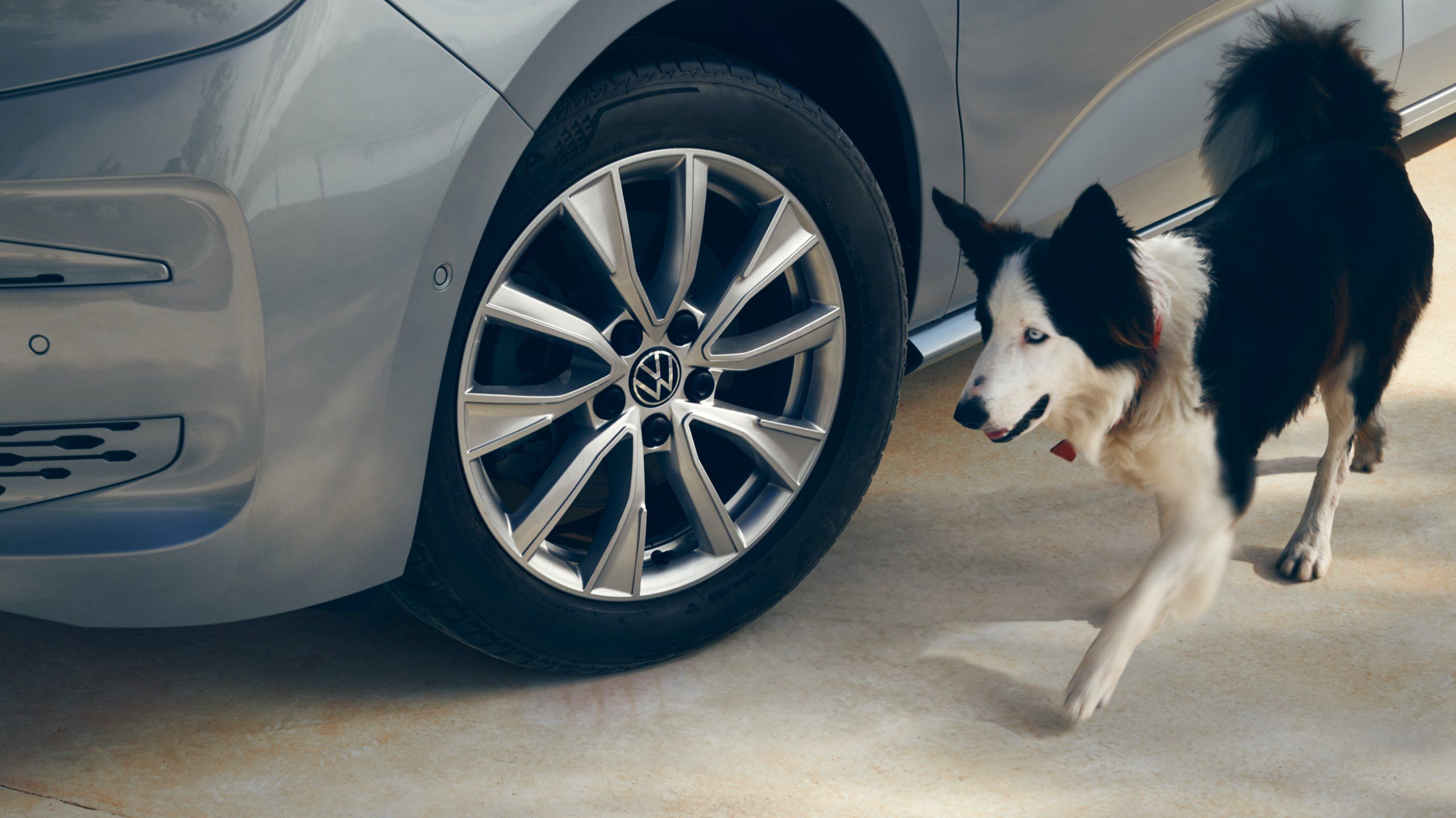 Um cão ao lado do Multivan Life da Volkswagen.